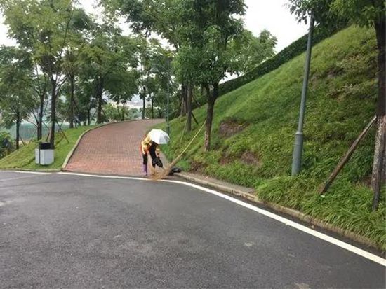 公园保洁