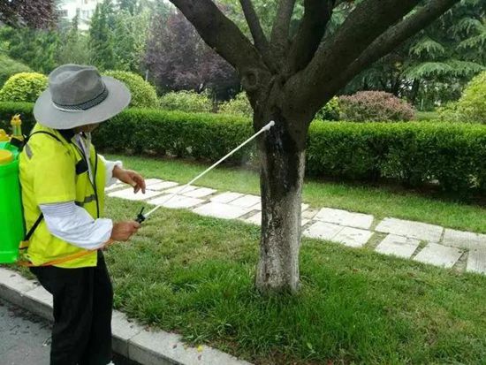 银行金融机构绿化