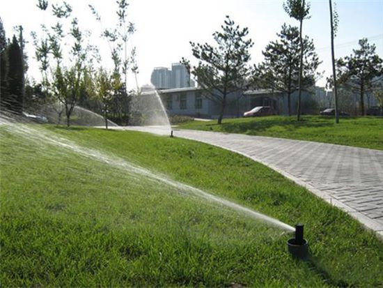 企事业单位绿化